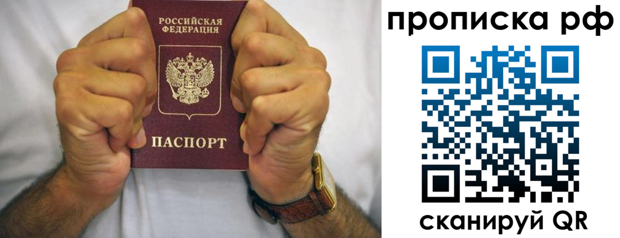 прописка регистрация в Емве